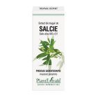 Extract din muguri de Salcie 50ml, PlantExtrakt