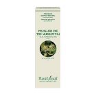 Extract concentrat din muguri de Tei Argintiu 15ml, PlantExtrakt