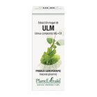 Extract din muguri de Ulm 50ml, PlantExtrakt