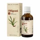 Obligeana tinctura 50ml, Dacia Plant