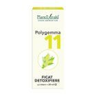 Polygemma 11 - Ficat detoxifiere 50ml, Plantextrakt