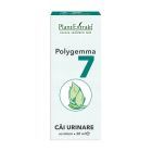Polygemma 7 - Cai Urinare 50ml, Plantextrakt