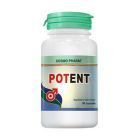 Potent 30 cps, Cosmo Pharm