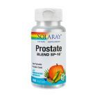 Prostate Blend 100 cps, Solaray
