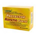 Protector hepatic forte 40 cpr, Hofigal