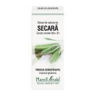 Extract din radicele de Secara 50ml, PlantExtrakt