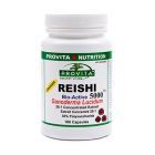 Reishi (Ganoderma) 5000 180 cps, Provita Nutrition