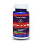 Renal Forte 60 cps, Herbagetica