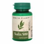 Salix 500 60 cps, Dacia Plant