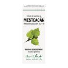 Extract din seminte de Mesteacan 50ml, PlantExtrakt