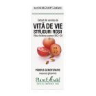 Extract din seminte de Vita-de-vie 50ml, PlantExtrakt