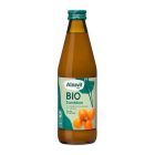 Suc de catina bio 330ml, Alnavit