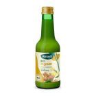 Suc de ghimbir bio 200ml, Alnavit