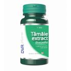 Tamaie extract Boswellia 60 cps, DVR Pharm