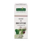 Tinctura de Brusture 50ml, Plantextrakt