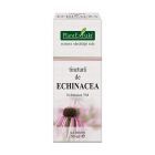 Tinctura de Echinacea 50ml, Plantextrakt