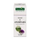 Tinctura de Anghinara - Cynara scolymus TM 50ml, Plantextrakt