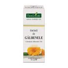 Tinctura de Galbenele 50ml, Plantextrakt