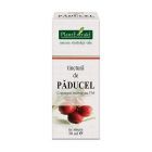 Tinctura de Paducel 50ml, Plantextrakt