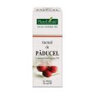 Tinctura de Paducel 50ml, Plantextrakt