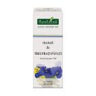 Tinctura de Trei Frati Patrati 50ml, Plantextrakt