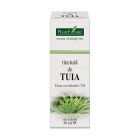 Tinctura de Tuia 30ml, Plantextrakt