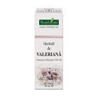 Tinctura de Valeriana 30ml, Plantextrakt