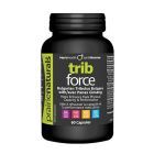 Trib Force Tribulus + Ginseng 60 cps, Prairie Naturals