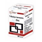 Tribulus terrestris & Zinc 30 cps, FarmaClass