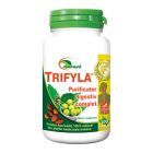 Trifyla 100 tbl, Ayurmed