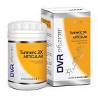 Turmeric 3X articular 120 cps, DVR Pharm