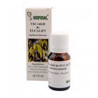 Ulei volatil de eucalipt 10ml, Hofigal