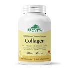 Colagen din somon salbatic (Wild Salmon Collagen) 300mg 90 cps, Provita Nutrition