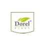 Dorel Plant